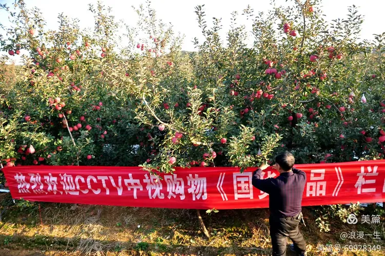 记实乡村果农发家致富奔小康！